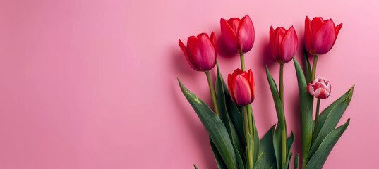 Obraz premium Vibrant Tulip Bouquet on Soft Pink