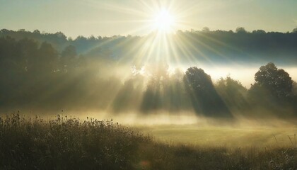 misty sunrise over the field in the forest, countryside background
