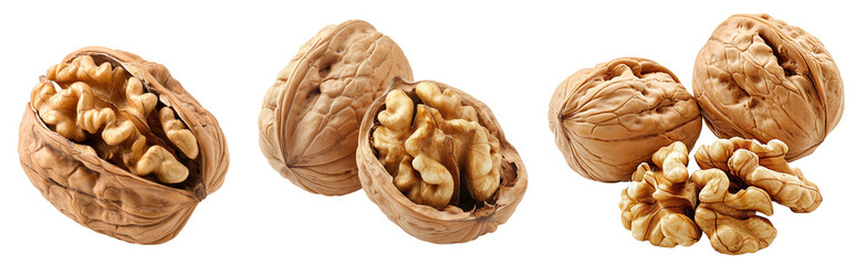 Collection of walnuts isolated on white or transparent background - obrazy, fototapety, plakaty