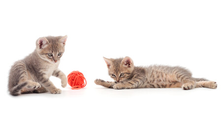 Two little kittens playing with a ball of yarn.