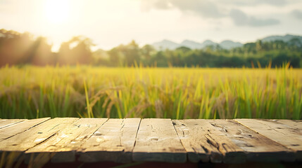 A wooden table sits in the foreground with a vast field stretching out in the background. The natural landscape includes plant life, grass, and a clear sky on the horizon - obrazy, fototapety, plakaty
