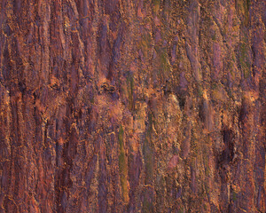 Pattern and structure of pine bark. Detail shot. - 757455845