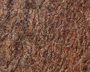 Pattern and structure of pine bark. Detail shot. - 757456016