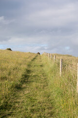An empty grass path leading uphill looks relaxing and inviting for an easy hike. A wooden fence leads the way into the countryside.