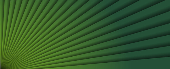 Obraz premium natural tropical green leaf palm leaf texture close up. vector