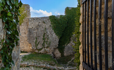 stone wall of an old castle in ivy