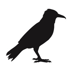 Bird Silhouette