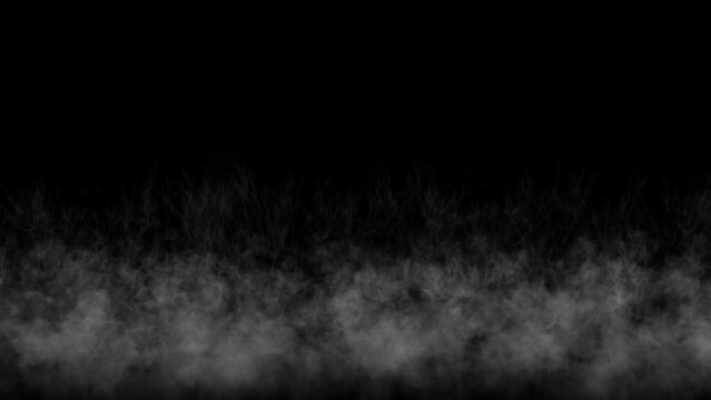 Mysterious steam rising slowly, black background