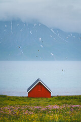 Red wooden house hut in northern Norway misty mountains and fjord landscape summer scandinavian...