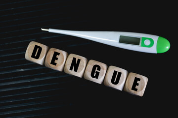 A palavra Dengue escrita em dados de madeira na linguagem Português do Brasil. Emergência na...