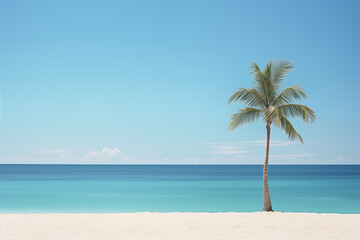 Fototapeta na wymiar Palm tree on the tropical sand shore by the ocean