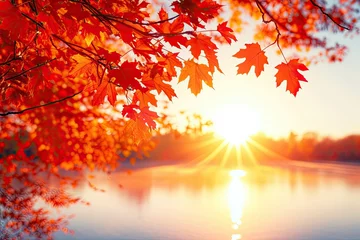 Foto auf Alu-Dibond A beautiful autumn scene with a tree branch full of red leaves © Vasili