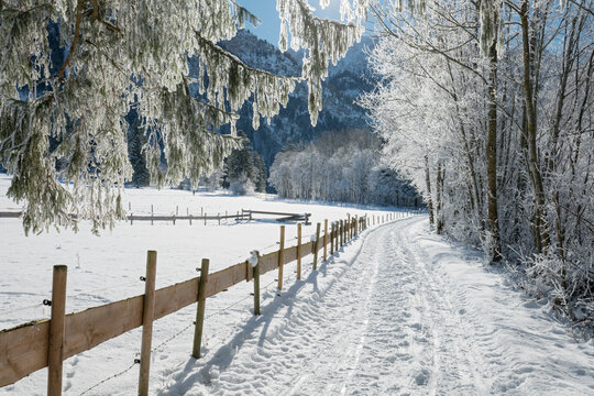 Schlittenweg, Holzzaun, Schwangau, Allg&auml;u, Bayern, Deutschland