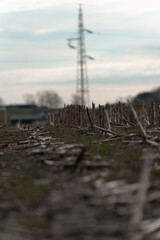 Harvested dead corn field in rural area, with big power grid pylon antenna in the background.