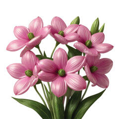 Obraz premium pink balloon flower isolated on white