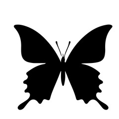black and white butterfly tattoo