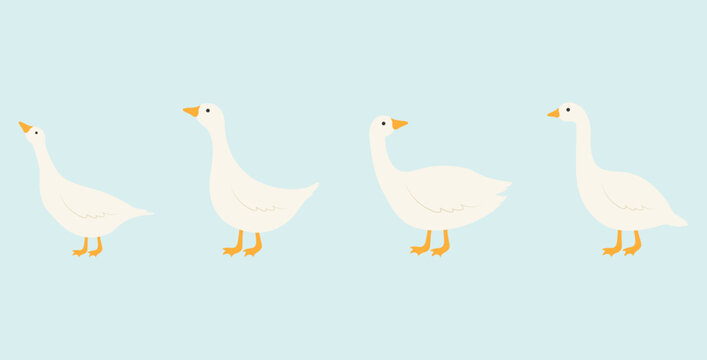 Cute white goose icons set. Vector illustration