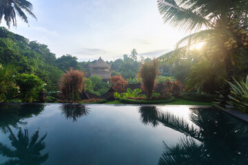 Sunrise. Tropical plants and a palm tree with coconuts are reflected in the pool. Landscape of the...