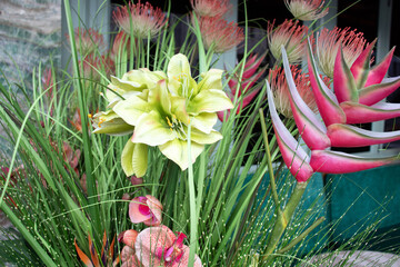 Exotic, tropical floral and plant display in pink, green and orange