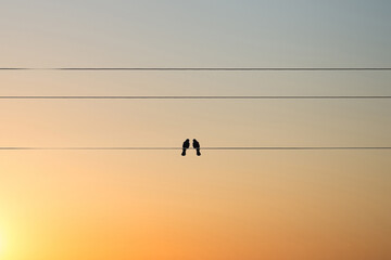 Two birds on a wire or electric line on the sunset sky background. Relationship Concept