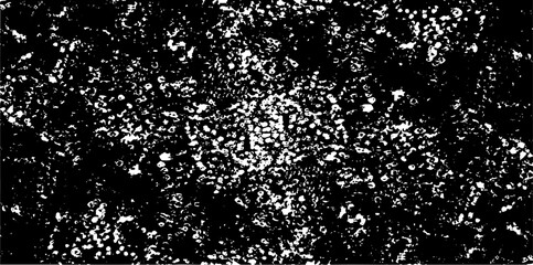 Rough black and white texture vector. Distressed overlay texture. Grunge background. Abstract textured effect. Vector Illustration. Black isolated on white background. EPS10