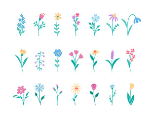 Spring flowers collection of design elements for cards, invitations and baby products.