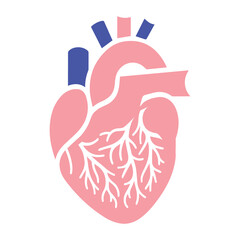 Human heart and Blood flow