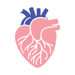 Obraz premium Human heart and Blood flow