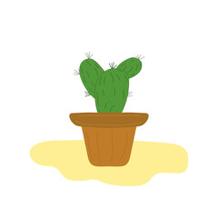 cactus in flowerpot