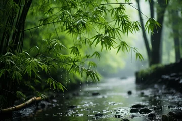 Poster A river flowing through a forest with trees, grass, and a riparian zone © JackDong