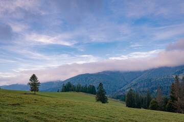 Green mountain scenery in the early morning. Beautiful mountain alpine pasture under gorgeous sky with clouds. - 757509634