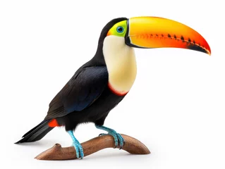 Foto op Aluminium toucan isolated on transparent background, transparency image, removed background © transparentfritz