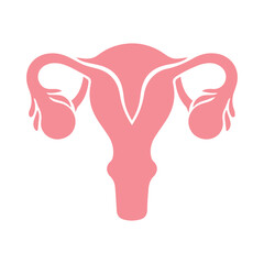 Uterus organ  icon