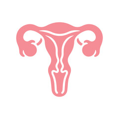 Uterus organ  icon