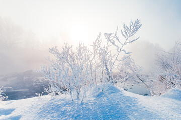 Atmospheric snowy winter scene. Dry grass bunch, covered with crispy white rime on a winter foggy river bank in the sunlight. - 757511002