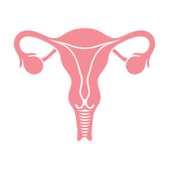 Uterus organ  icon