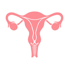 Uterus organ  icon