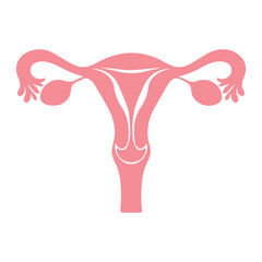 Uterus organ  icon