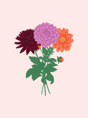 Dahlia Bouquet Illustration