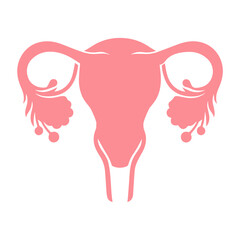 Uterus organ  icon