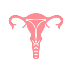 Uterus organ  icon