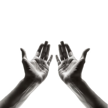Mans hands black and white isolated element