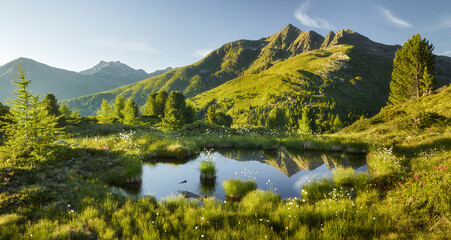Blick vom Hirschbichl ins Defereggental, Kahorn (2692m), Hohe Tauern, Osttirol, Tirol, Österreich