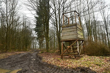 Kanzel am Waldrand