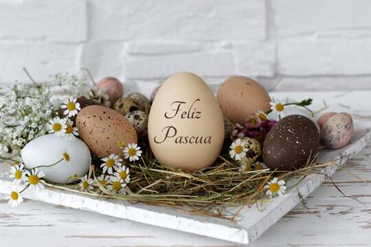 Tarjeta de felicitación Felices Pascuas: Nido con huevos de Pascua y un huevo de Pascua etiquetado.
