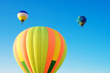 Fototapeta premium Multi-colored hot-air balloons soar in the morning blue sky.