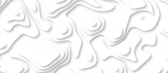 3d render, abstract white paper background. Paper cut vector art background banner texture. multi layer cutout geometric pattern on vector, Abstract soft white background with waves.