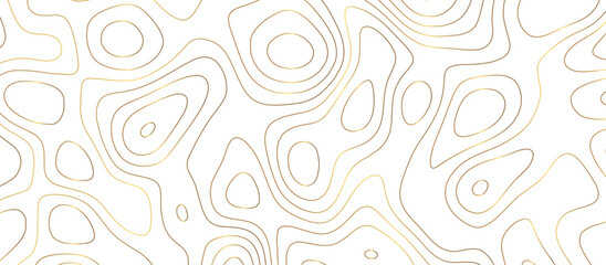 abstract golden wave paper curved reliefs background. Topography map pattern, Geographic curved, vector illustration. seamless textrue, vintage waves. Panorama view multicolor wave curve line.