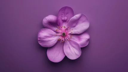 Foto op Canvas A beautiful purple flower with intricate details. The petals are soft and delicate, and the veins are clearly visible. © stocker