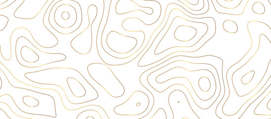 abstract golden wave paper curved reliefs background. Topography map pattern, Geographic curved, vector illustration. seamless textrue, vintage waves. Panorama view multicolor wave curve line.